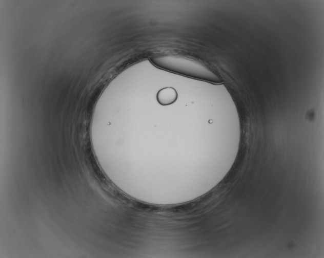 X0000115830408200912242000