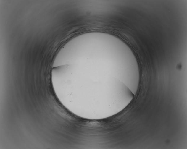 X0000115830409200912242000