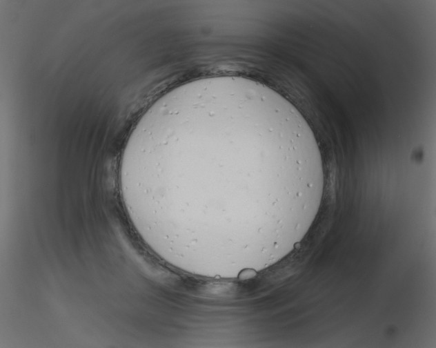 X0000115830410200912242000