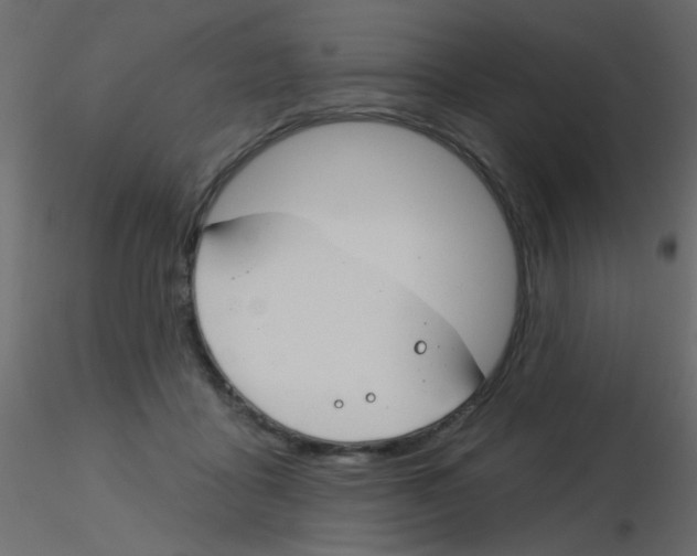 X0000115830411200912242000