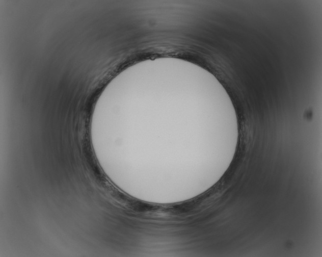 X0000115830412200912242000