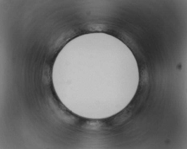 X0000115830414200912242000