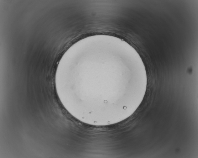 X0000115830415200912242000