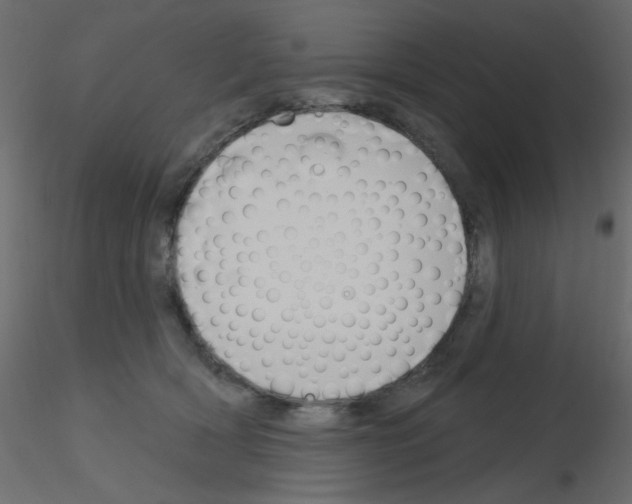 X0000115830418200912242000