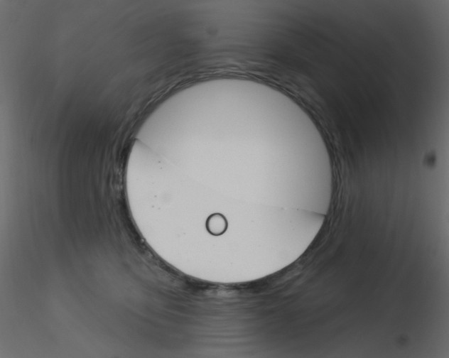 X0000115830419200912242000