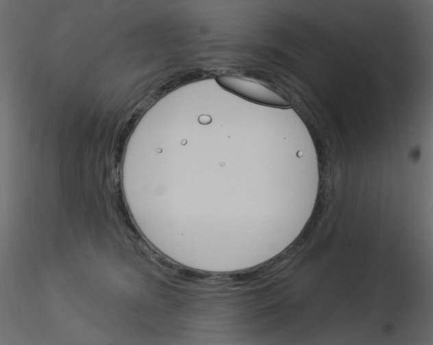 X0000115830420200912242000