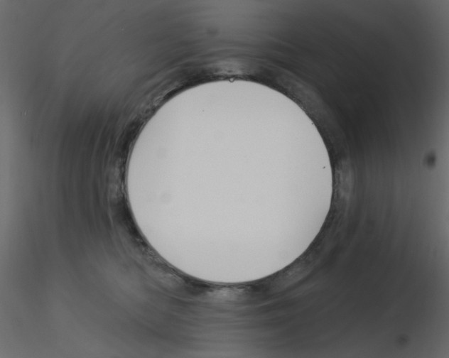 X0000115830422200912242000