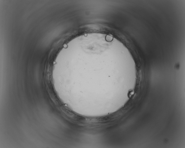 X0000115830423200912242000