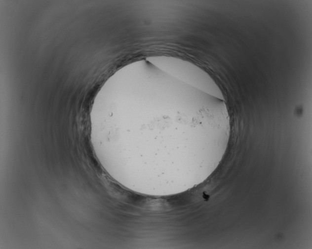 X0000115830424200912242000