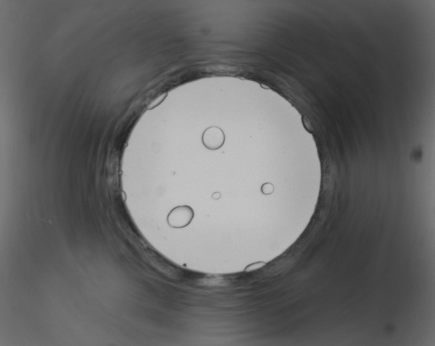 X0000115830425200912242000