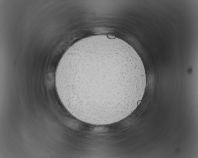 X0000115830426200912242000