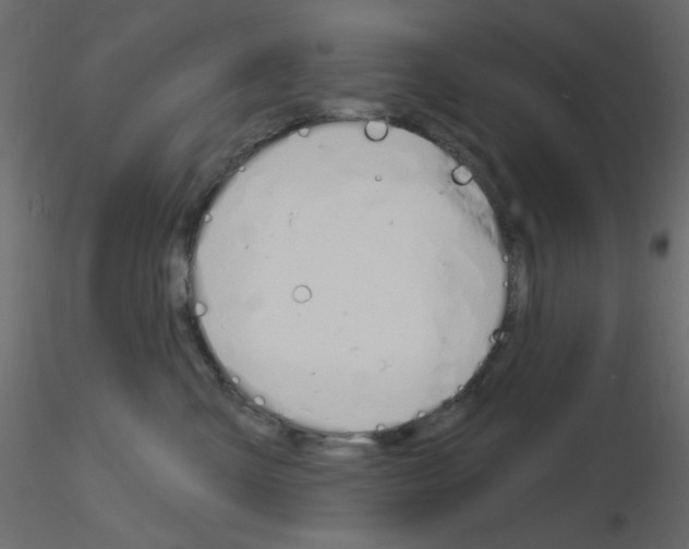 X0000115830427200912242000