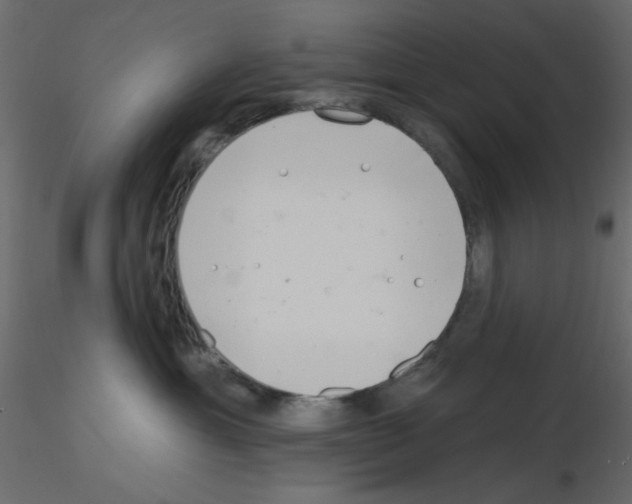 X0000115830429200912242000