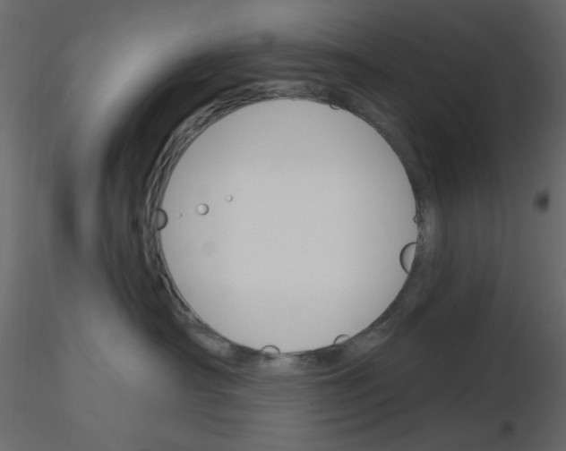 X0000115830430200912242000