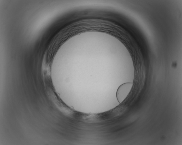 X0000115830431200912242000