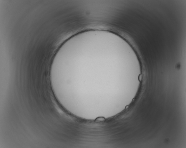 X0000115830433200912241959