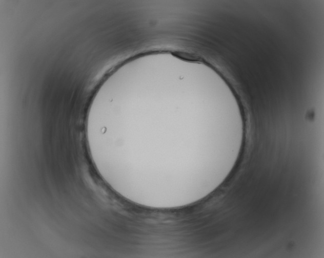 X0000115830434200912241959