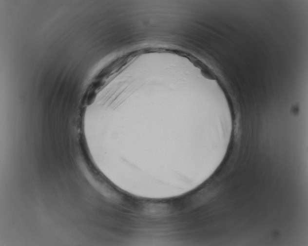 X0000115830438200912241959