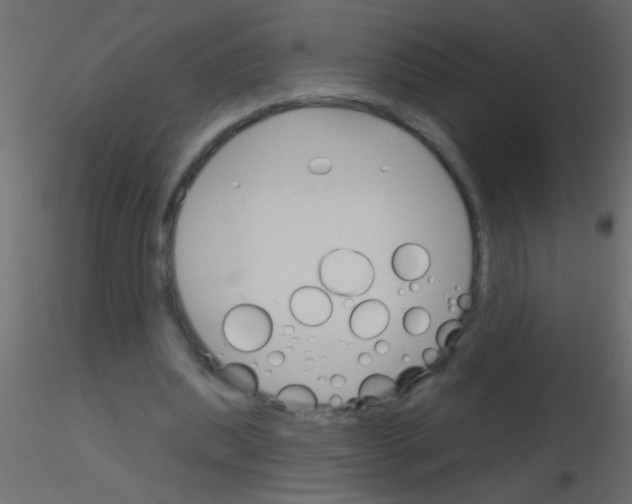 X0000115830439200912241959