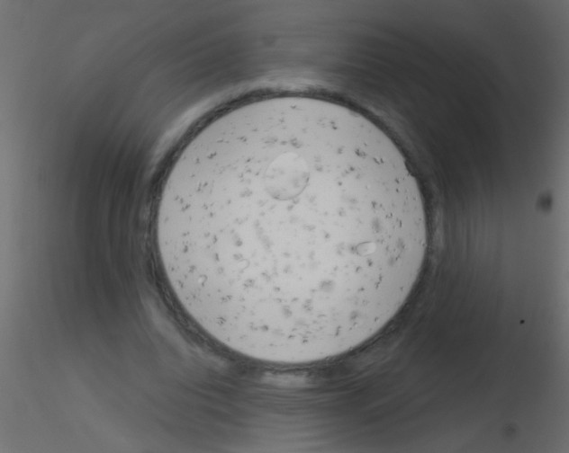 X0000115830440200912241959