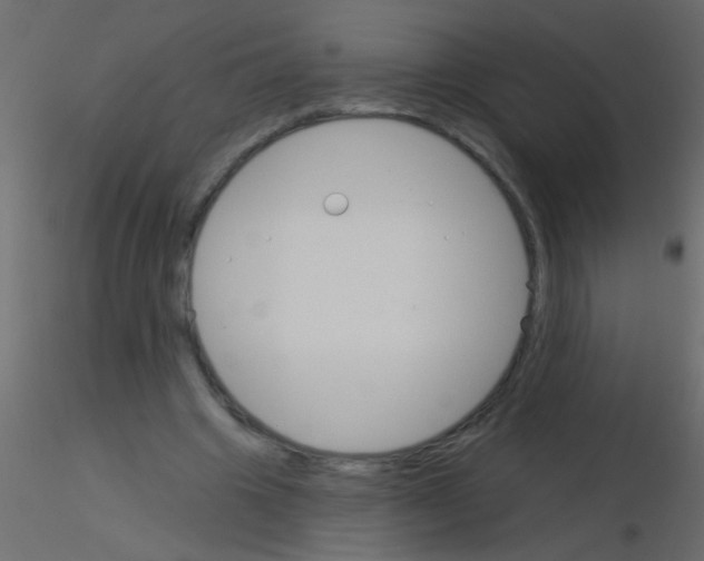 X0000115830441200912241959