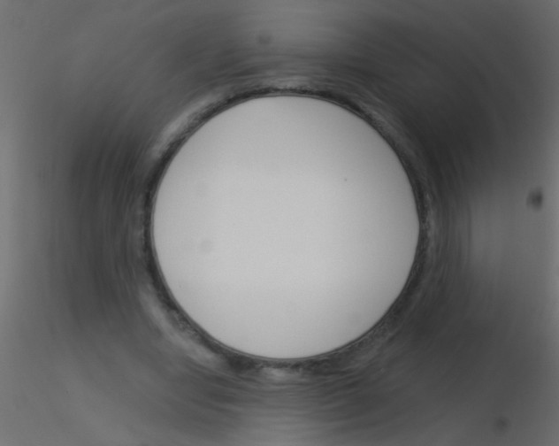 X0000115830442200912241959