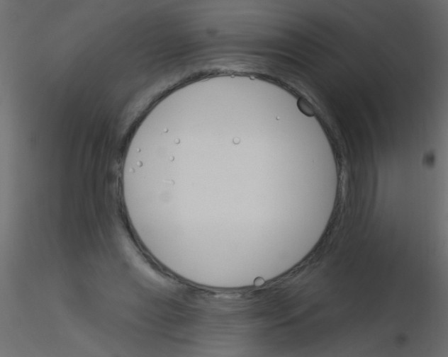 X0000115830445200912241959