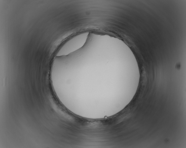 X0000115830446200912241959