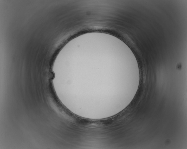 X0000115830447200912241959