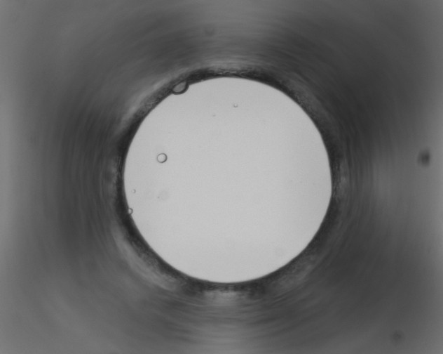 X0000115830448200912241959