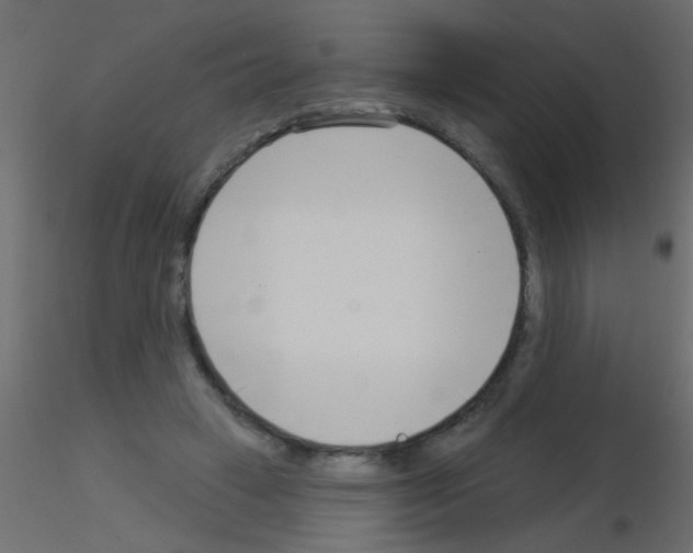 X0000115830449200912241959