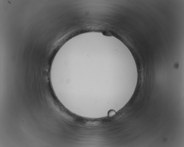 X0000115830450200912241959