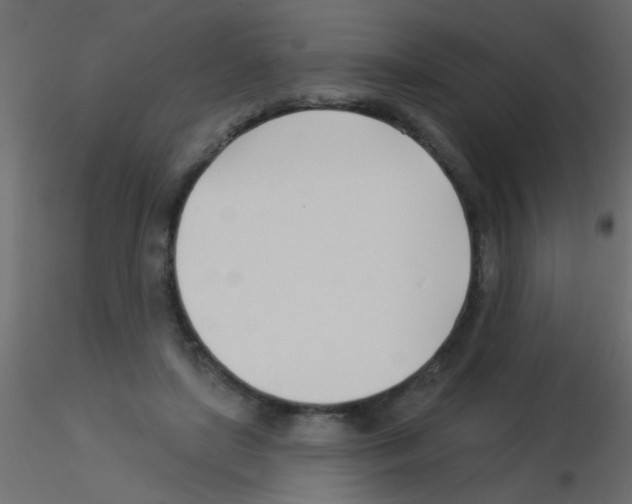 X0000115830451200912241959