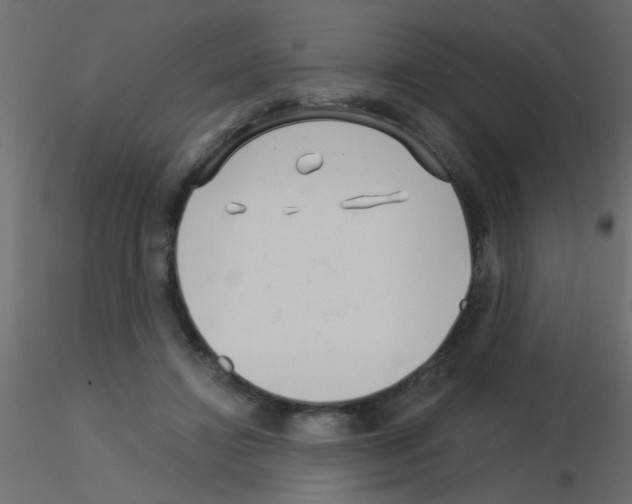 X0000115830452200912241959