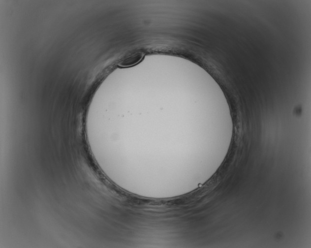 X0000115830454200912241959