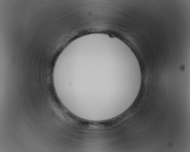 X0000115830455200912241959