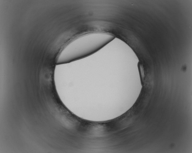 X0000115830456200912241959