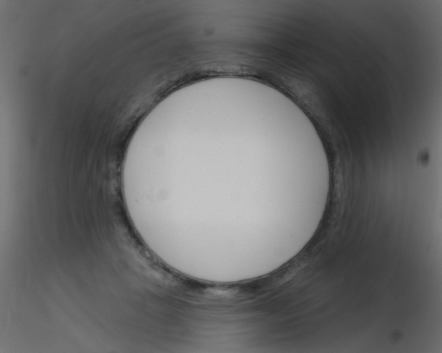 X0000115830457200912241959