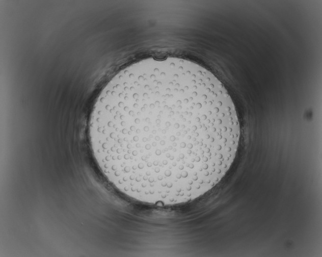 X0000115830458200912241959