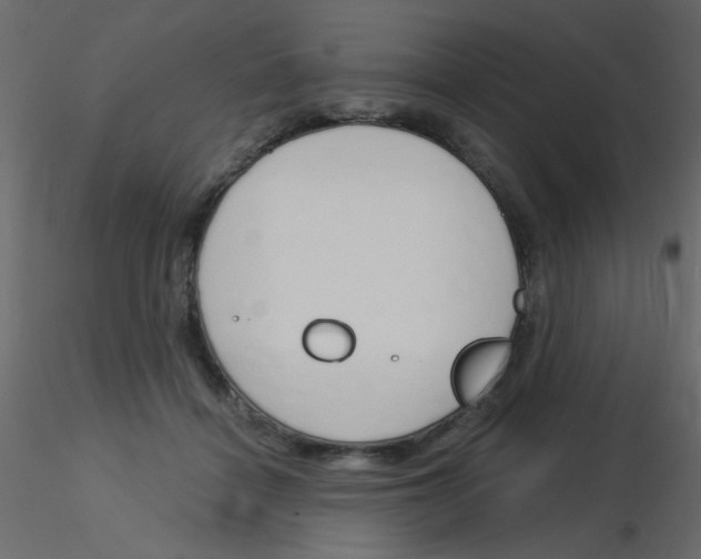 X0000115830460200912241959