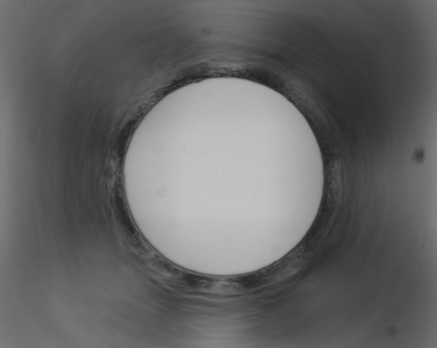 X0000115830463200912241959