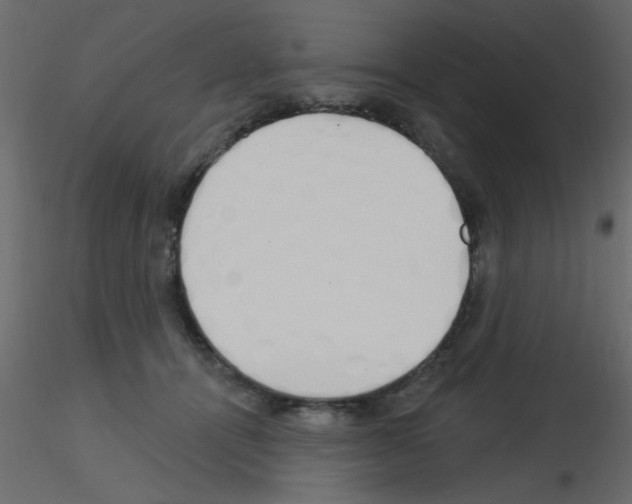 X0000115830464200912241959