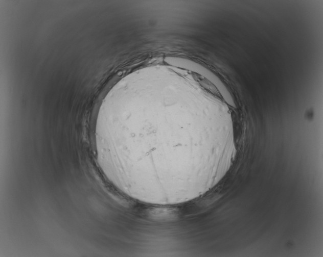 X0000115830465200912241959