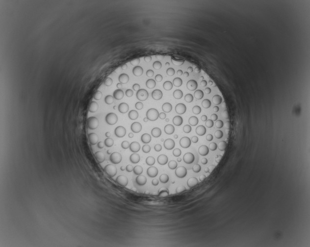 X0000115830466200912241959