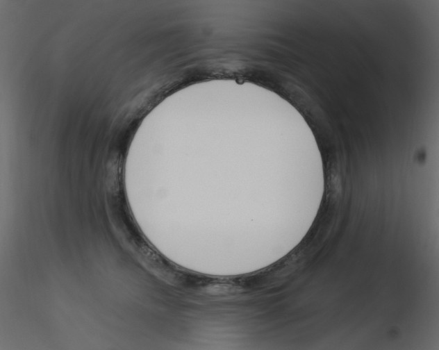 X0000115830468200912241959