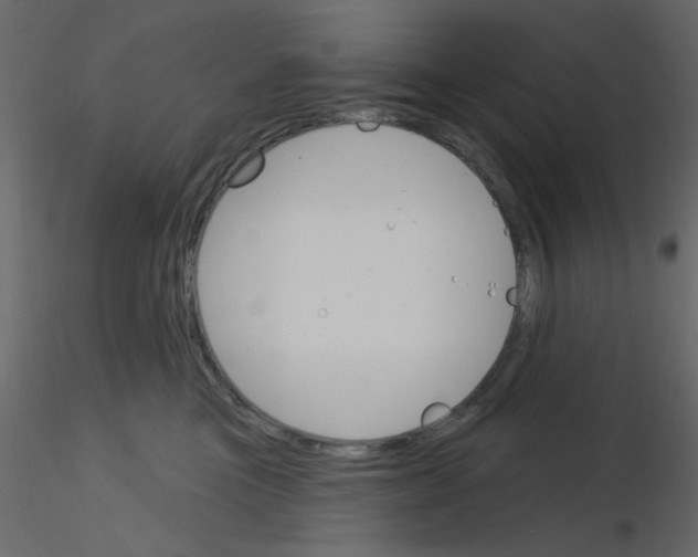 X0000115830473200912241959