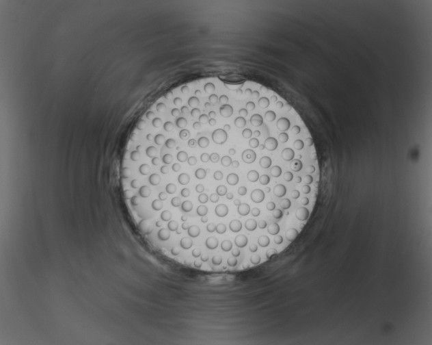 X0000115830474200912241959