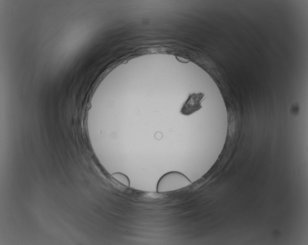 X0000115830477200912242000