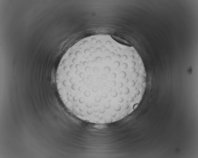 X0000115830478200912242000