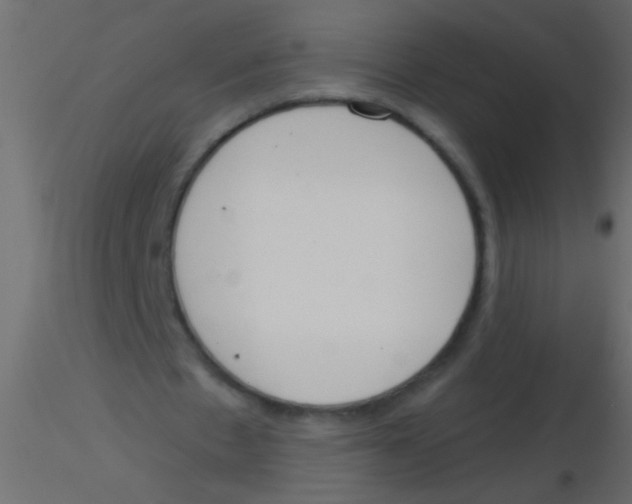 X0000115830481200912241959